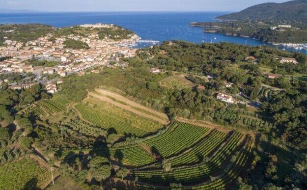 Il Vino Delle28099Elba Tra Turismo