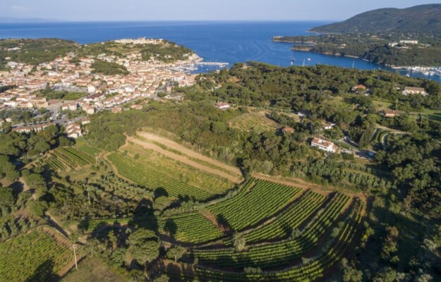 Il Vino Delle28099Elba Tra Turismo