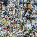 In Italia Raccolta Di Carta E Cartone Quasi Sette Volte Superiore Rispetto A Trent’Anni Fa Con Un Nuovo Aumento Nel 2024