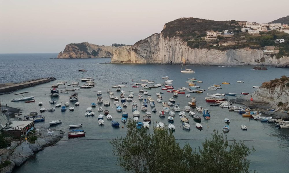 Inaugurato A Ponza Il Servizio