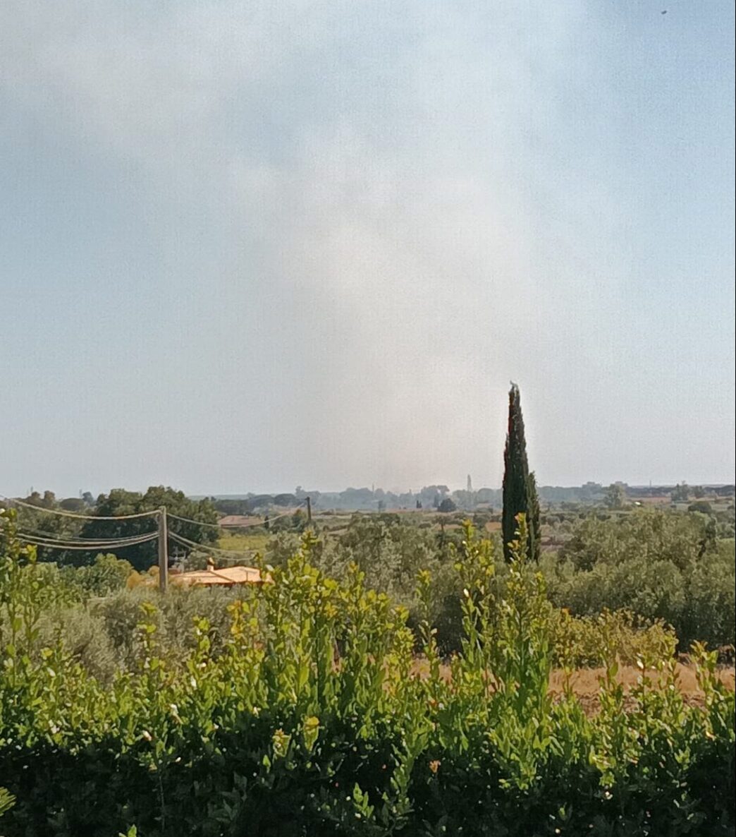 Incendio A Cerenova In Via Del