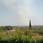 Incendio A Cerenova In Via Del Bagolaro: Fiamme Visibili A Chilometri, Sul Posto Due Squadre Dei Vigili Del Fuoco Di Cerveteri