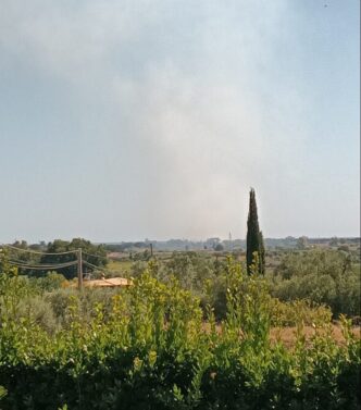 Incendio A Cerenova In Via Del