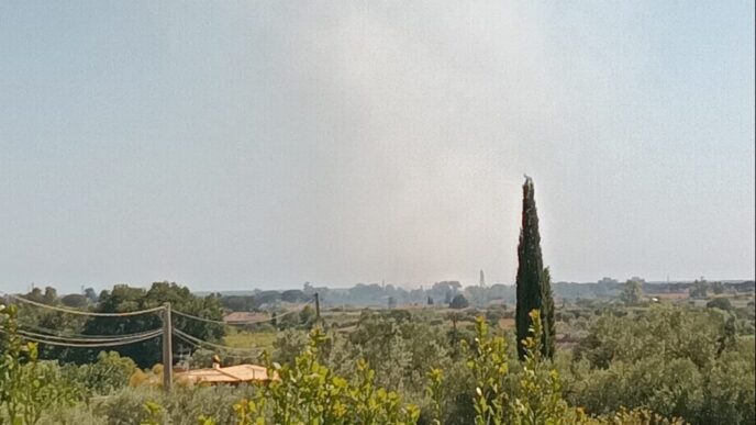 Incendio A Cerenova In Via Del