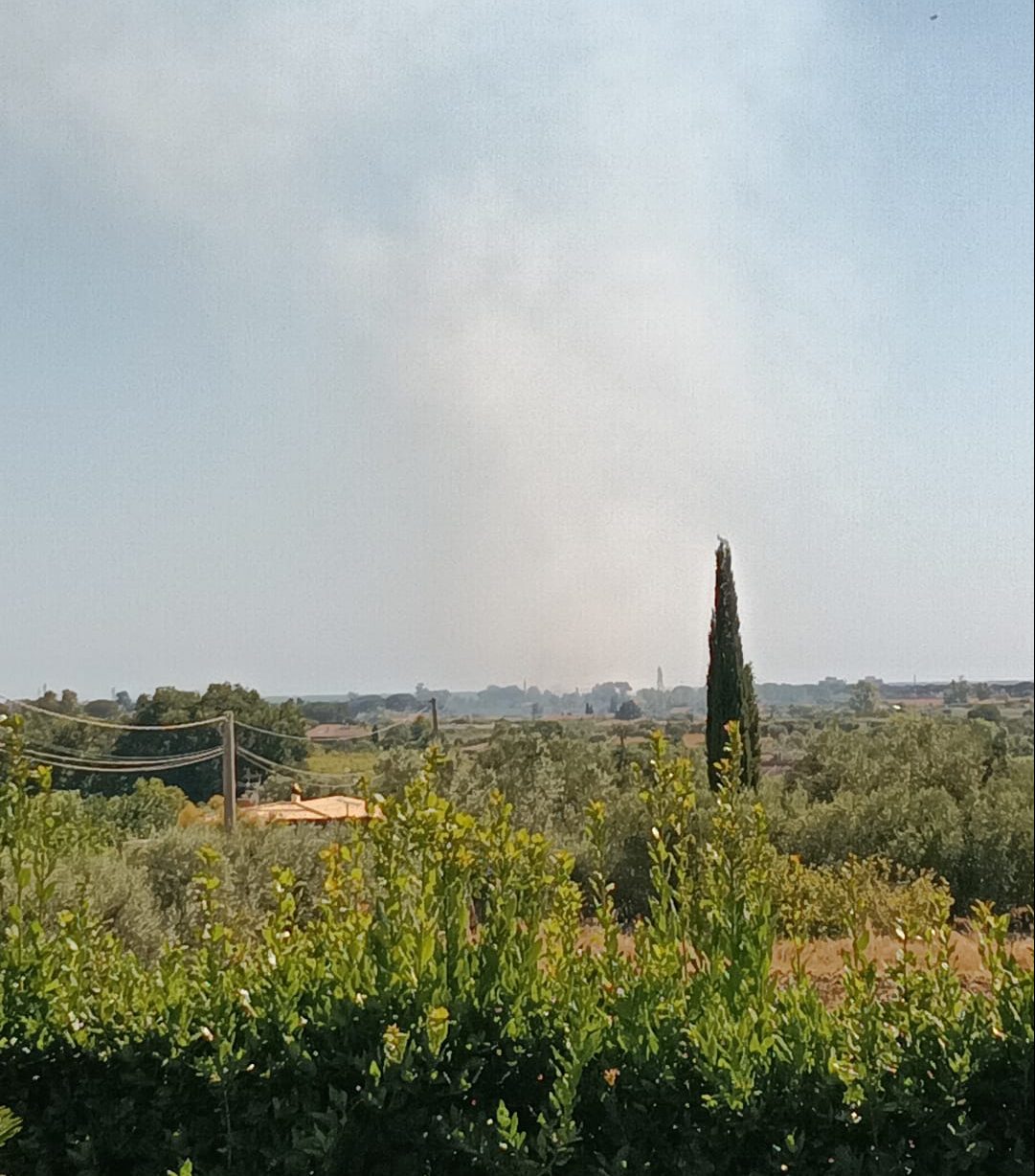 Incendio A Cerenova In Via Del