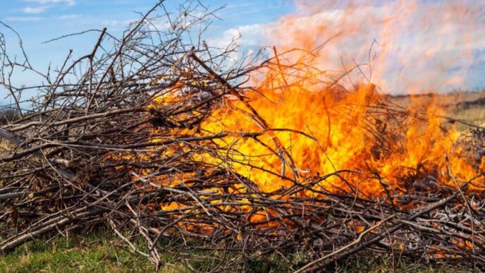 Incendio A Latina3A Fuoco Per P