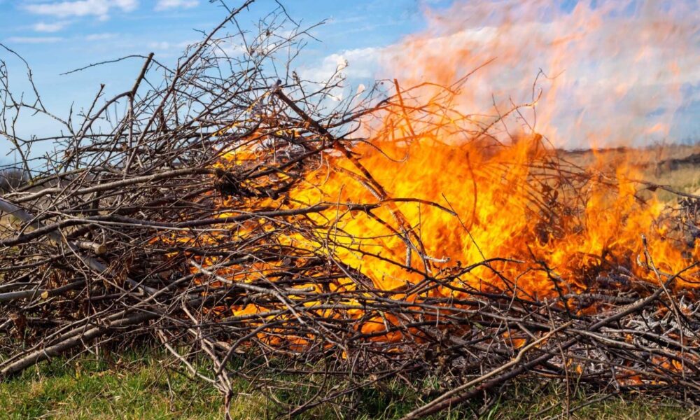 Incendio A Latina3A Fuoco Per P