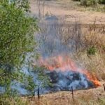 Incendio In Diverse Zone Di Roma, Intervento Massiccio Dei Vigili Del Fuoco In Città E Provincia