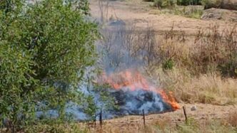 Incendio In Diverse Zone Di Ro