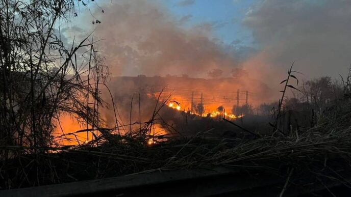 Incendio Nel Municipio Xi Roma