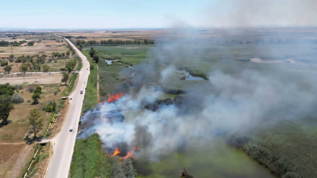 Incendio Nella Riviera Sud Di