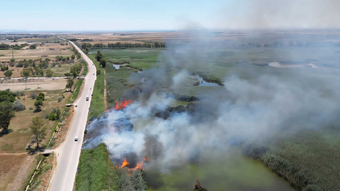 Incendio Nella Riviera Sud Di