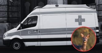 Incidente Tra Motociclista Di