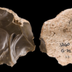Incisioni Geometriche Trovate Su Utensili Del Paleolitico Medio Nel Levante Datati Tra 50.000 E 100.000 Anni Fa