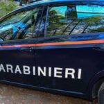 Individuato Il Presunto Responsabile Dell’investimento Mortale Di Lea Rosso A Cusercoli