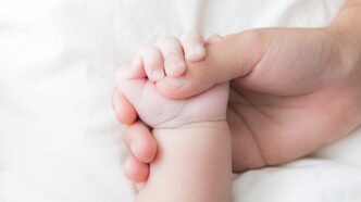 Inps Avvia I Pagamenti Del Bon
