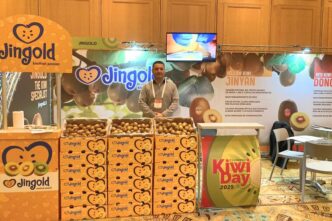 Kiwi Day 2025 In Cile3A Jingold