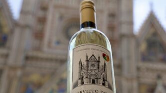 Le28099Orvieto Doc Apre Alla Produz