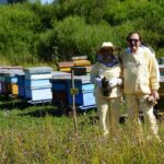 L’apicoltura Luca Finocchio Trionfa Ai London Honey Awards Con Tre Premi Prestigiosi