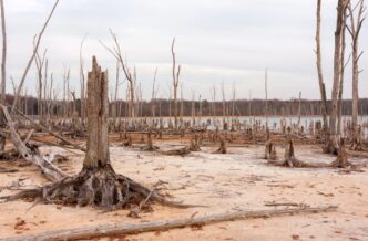 Le28099Earth Overshoot Day 20253A Il