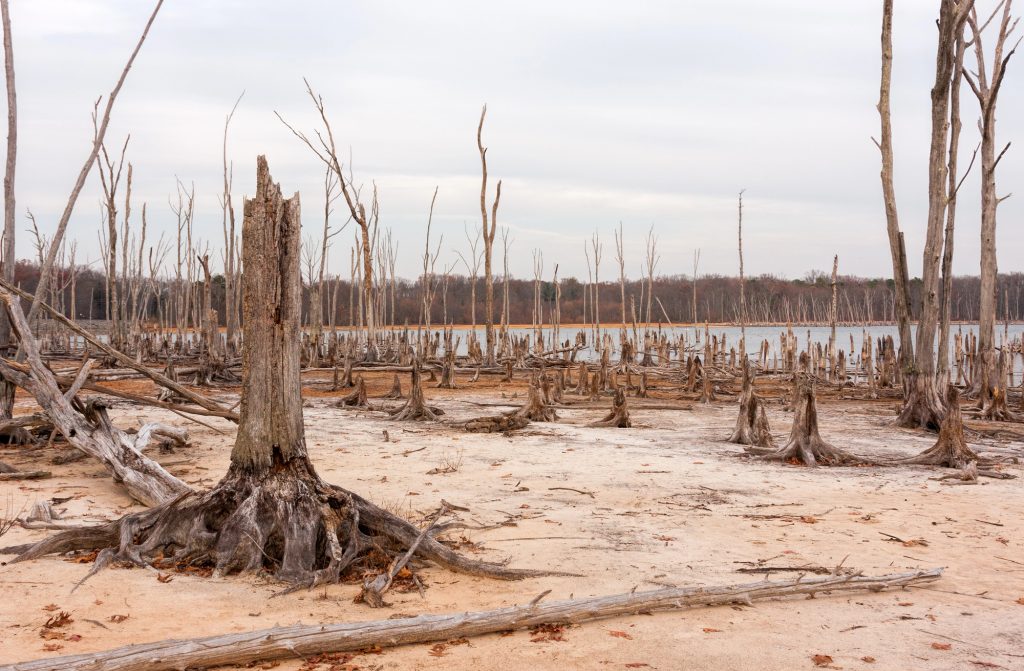 Le28099Earth Overshoot Day 20253A Il