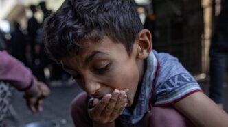 Le28099Emergenza Fame A Gaza Tra Ne