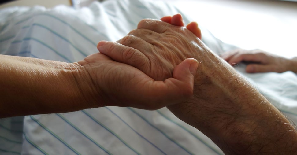 La Legge Sul Fine Vita Al Sena