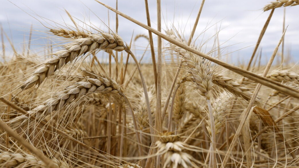 La Natura Nel Bilancio3A La Ue