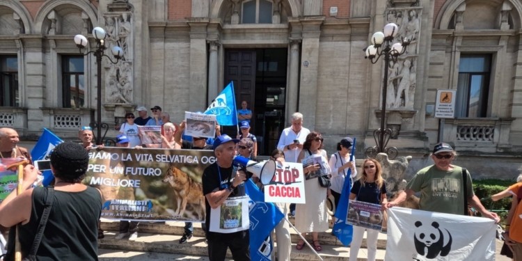 La Posizione Del Tribunale Di