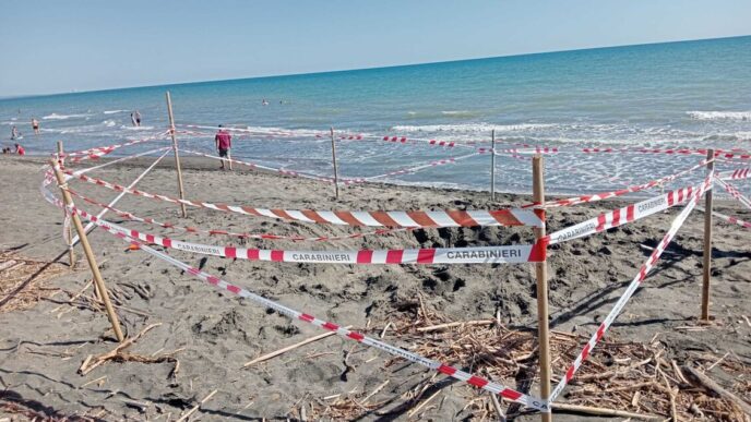 La Procura Di Civitavecchia In