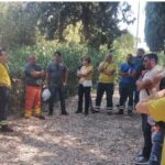 La Regione Basilicata Potenzia La Lotta Agli Incendi Boschivi Con Nuovi Addetti Formati Entro Il 2025