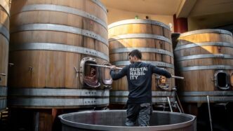 La Sostenibilitc3A0 Del Vino Pass