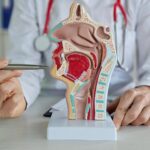 La Ue Approva Tislelizumab Con Chemioterapia Per Carcinoma Rinofaringeo Recidivante O Metastatico