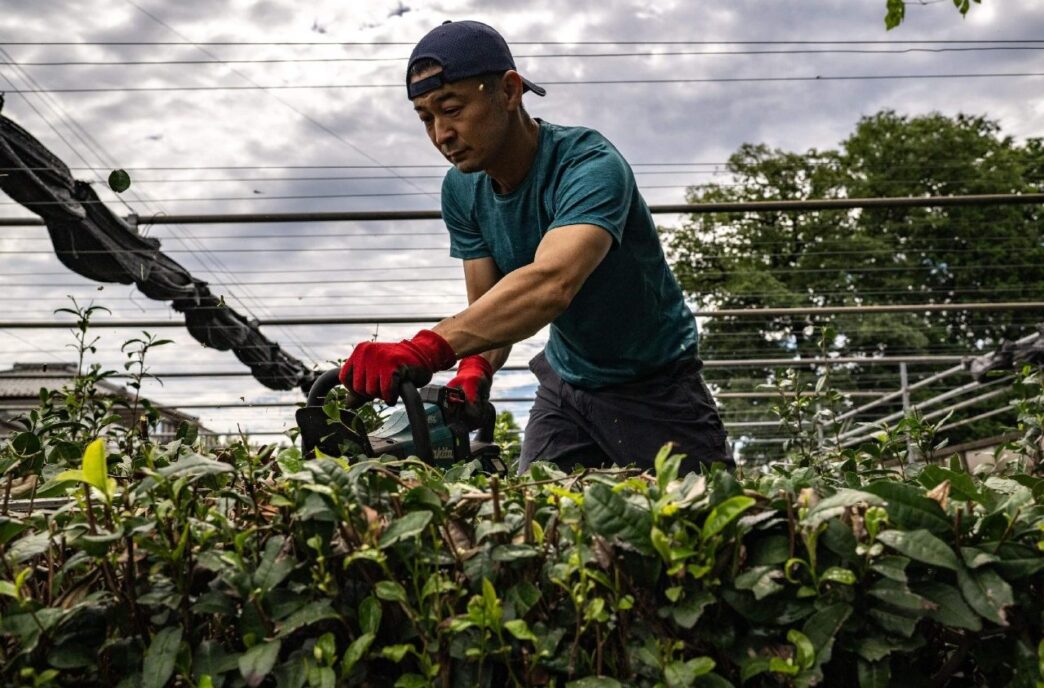 Lavoro Sostenibile Secondo La