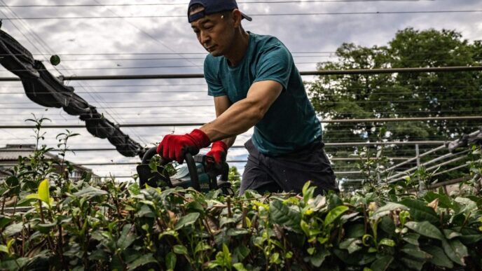 Lavoro Sostenibile Secondo La