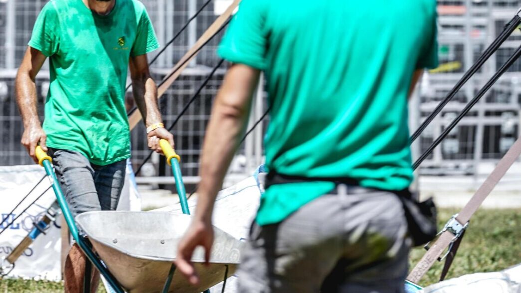 Le Assunzioni Nelle Marche Cal