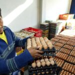 Le Economie A Reddito Medio Guideranno La Crescita Del Consumo E Della Produzione Di Alimenti Animali Entro Il 2034