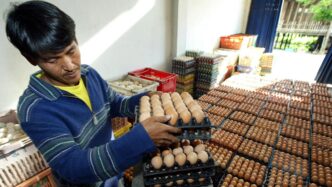 Le Economie A Reddito Medio Gu