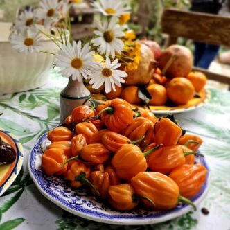 Le Vie Del Cibo Della Lunga Vi