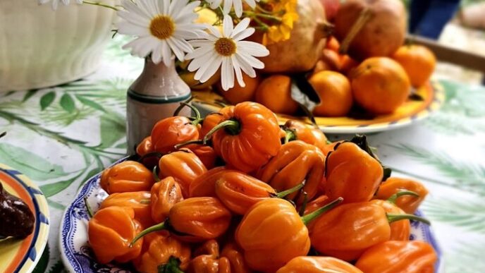 Le Vie Del Cibo Della Lunga Vi