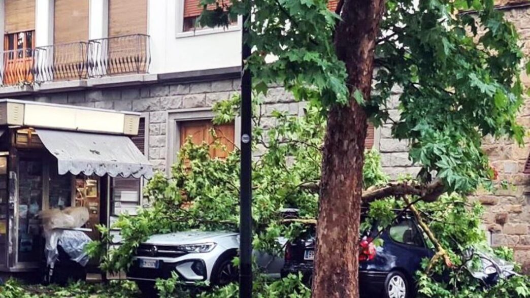 Livello Di Allerta Per Tempora