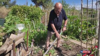 Luciano Galletti E Altri Anzia