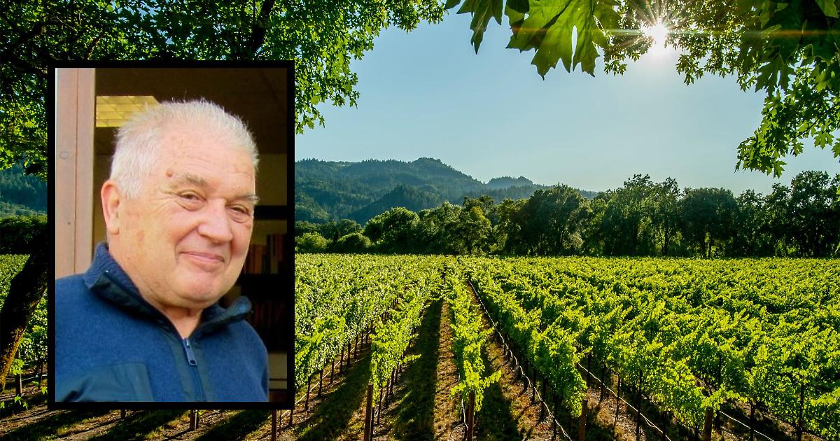 Luigi Ferrando E Il Racconto D