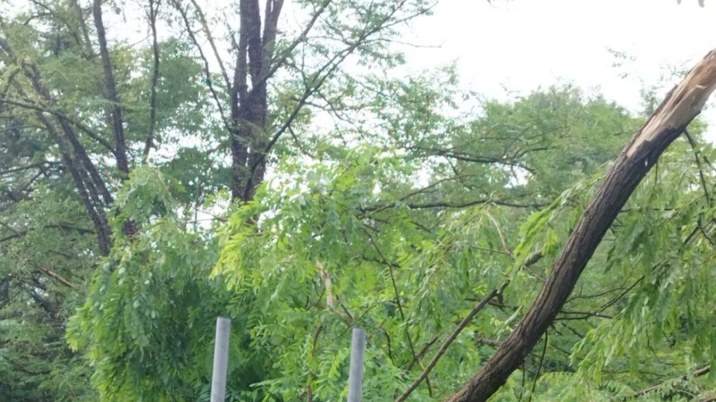 Maltempo A Pesaro Urbino3A Albe