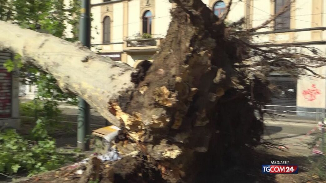 Maltempo E Allerta Meteo In 12