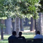 Marche, La Sfida Green Di Matteo Ricci Con 1,5 Milioni Di Alberi Per Contrastare Il Caldo In Città