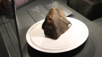 Meteorite Marziano Da 24 Chili