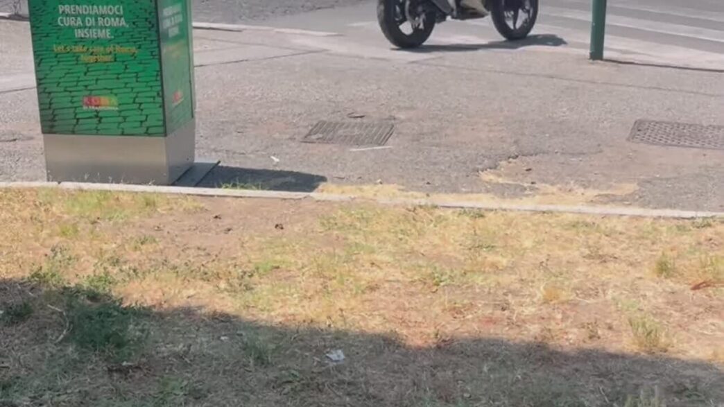 Moto E Auto Tra Marciapiedi E
