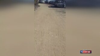 Motovedetta Della Guardia Cost