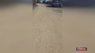 Motovedetta Della Guardia Cost